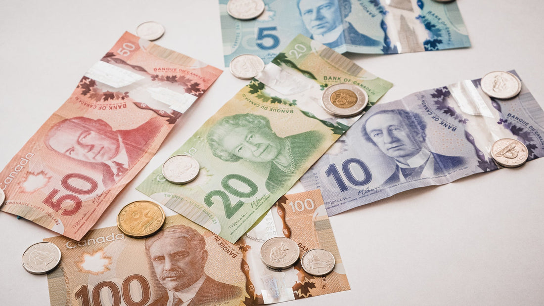 10 Best Canadian Dividend Stocks to Buy in 2025: A Beginner Guide