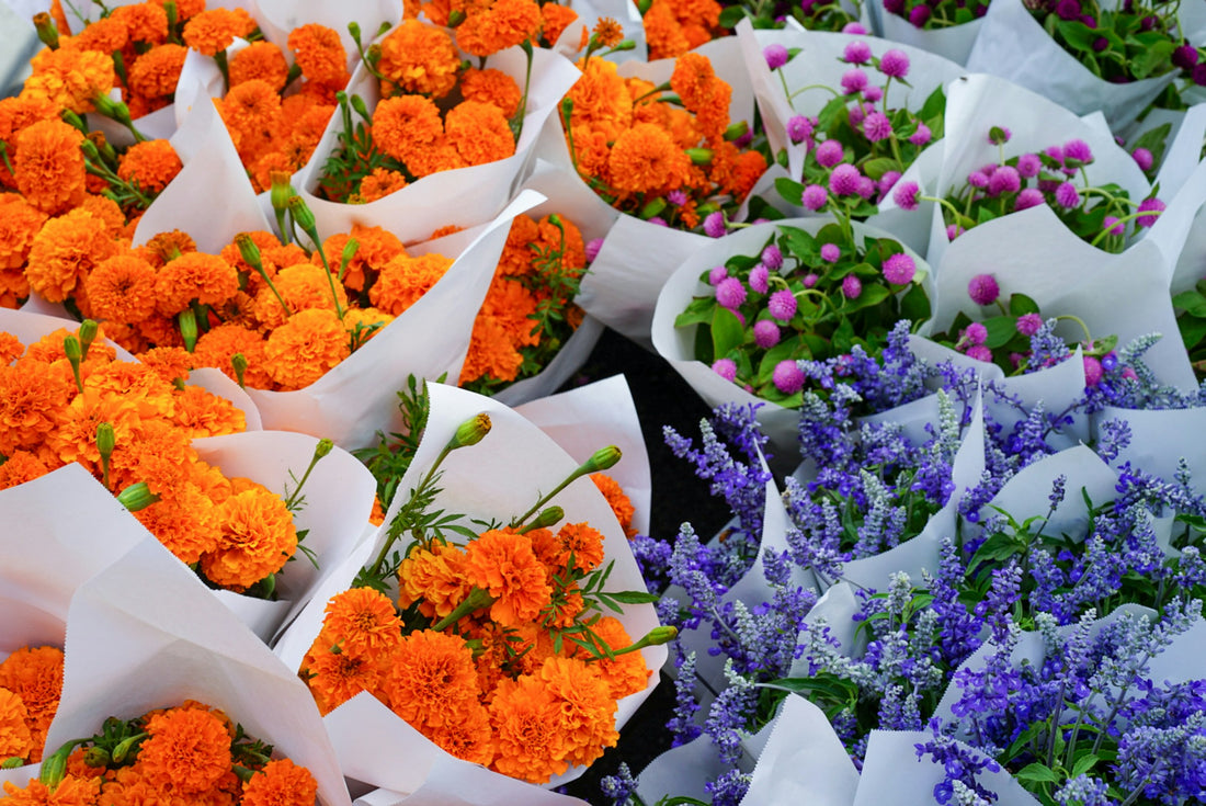 14 Best Places to Buy Cheap Flowers in 2024