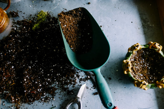 14 Places to Get Free Compost Near You in 2024!