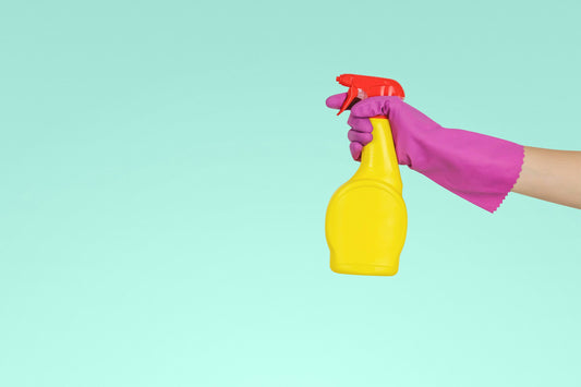 How to Start a Cleaning Business in 2024: Complete Guide [Costs & Profits]