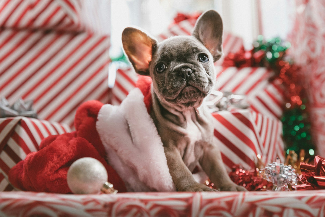 15 Best Budget Christmas Gifts (2025)