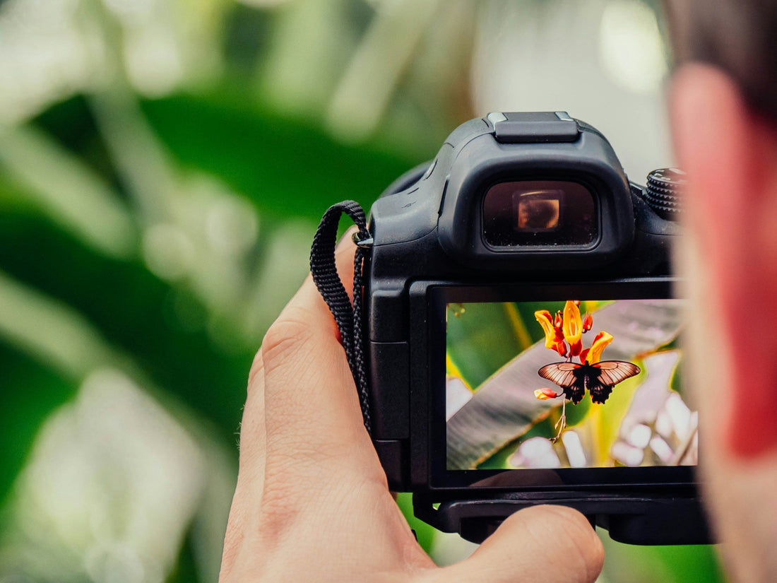 Sell Photos Online: 10 Proven Platforms (2025)