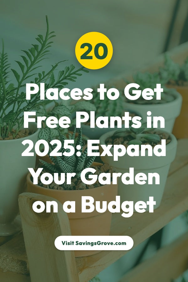 20 Places to Get Free Plants in 2025: Expand Your Garden on a Budget