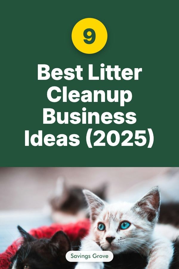 9 Best Litter Cleanup Business Ideas (2025)